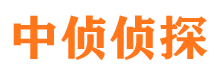 宕昌市调查公司